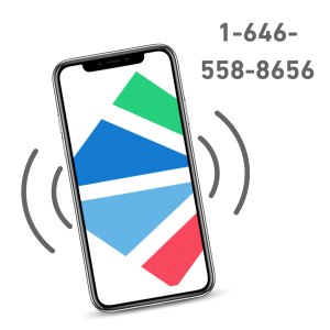 Call into the meeting at 1-646-558-8656